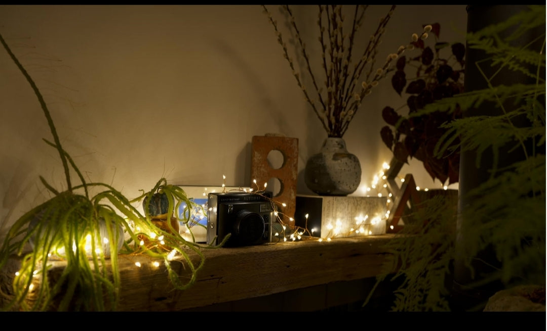 <em><strong>Mariana Torres</strong></em>