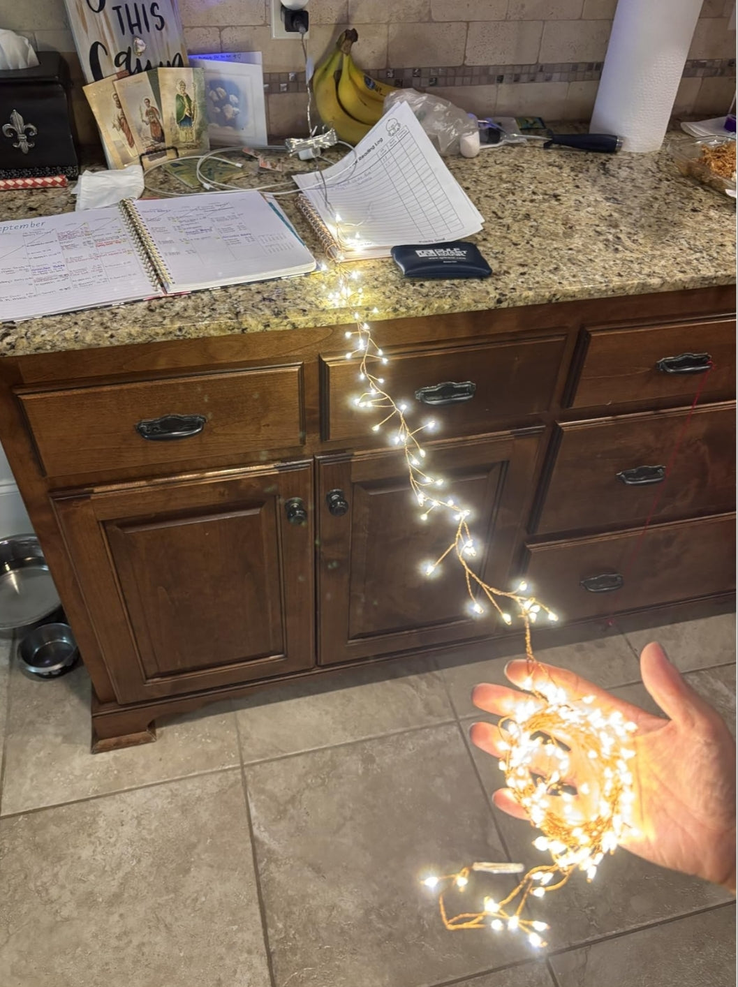 <em><strong>Laura Patiño</strong></em>