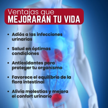 CRANBERRY PLUS SALUD EN CADA CÁPSULA